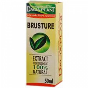 Tinctura brusture