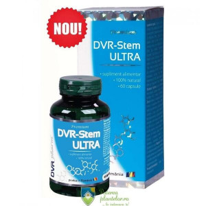 DVR Stem ultra