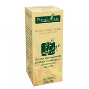 Extract din muguri de castan comestibil