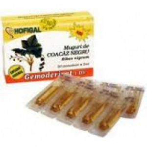 Gemoderivat muguri de coacaz negru