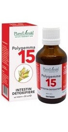 Polygemma 15
