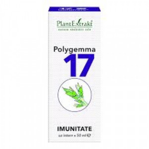 Polygemma 17