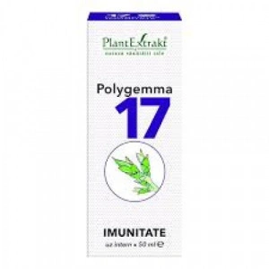 Polygemma 17