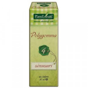 Polygemma 4