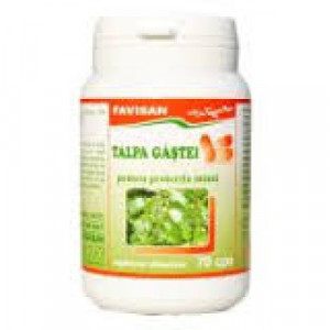 Talpa gastii