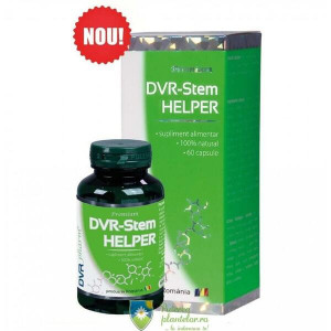 DVR Stem HELPER