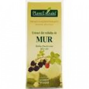 Extract din mladite de mur