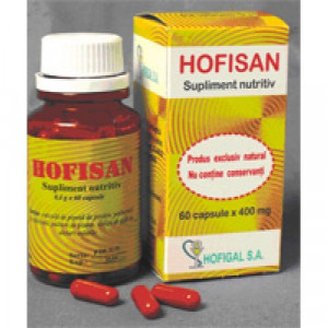 Hofisan