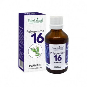 polygemma 16 plamani
