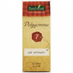 Polygemma 7