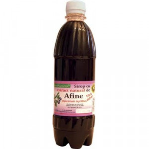 Sirop afine fara zahar