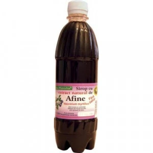 Sirop afine fara zahar