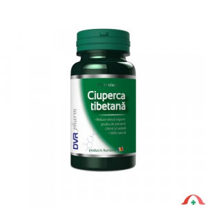 ciuperca tibetana