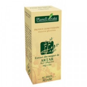 Extract din muguri de Artar