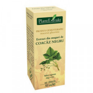 Extract din muguri de coacaz negru