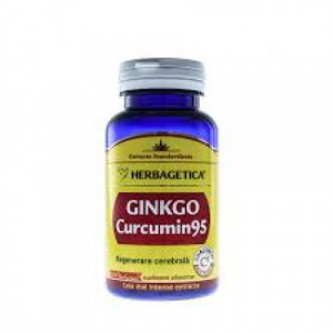 ginkgo curcumin 95