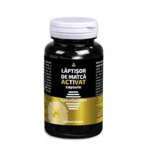 laptisor matca dvr