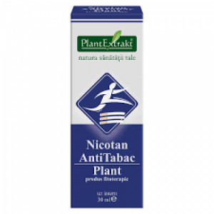 Nicotan plant