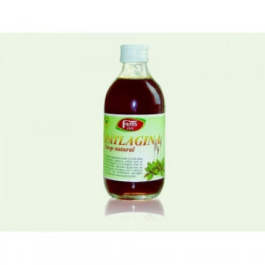 Sirop patlagina