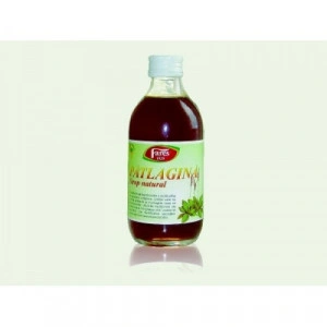 Sirop patlagina