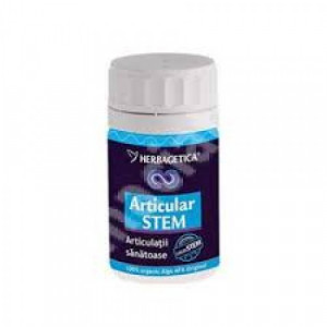Articular Stem