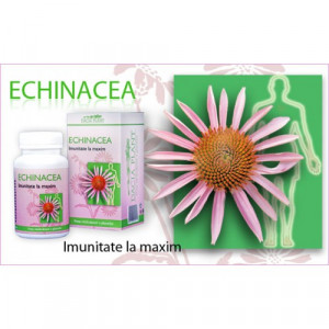 Echinacea forte
