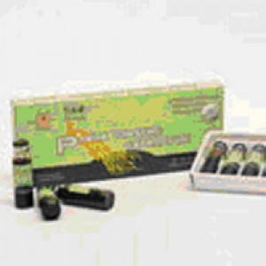 Fiole Panax ginseng