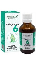 Polygemma 6
