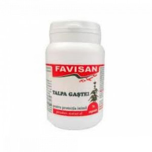 Talpa gastei