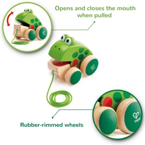 Broasca Hape Fridolin von Hape | Broasca din lemn Fly Eating Pull-Along Jucarie pentru copii mici, culori stralucitoare - Img 5