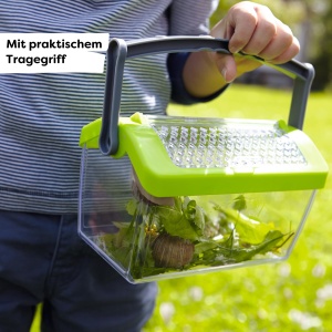 Cutie de observare insecte HABA Terra Kids, 19.5x10.5x11.5 cm, din plastic transparent - Img 3