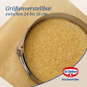 Cutie pentru taiat torturi Dr. Oetker, inox, 26-28 cm, cu cutit inclus - Img 4