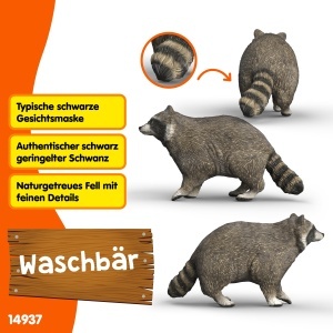 Figurina animale Schleich WILD Life Waschbar 14937, 7 x 2 x 4 cm, pentru copii de la 3 ani - Img 3