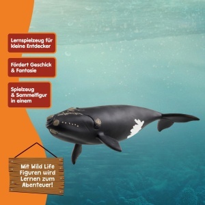 Figurina de colectie Schleich WILD Life - Nordatlantischer Glattwal 19 x 10 x 5 cm - Img 6