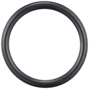Fissler O-Ring Vitavit Royal ABS Negru Compatibil Pana in 1998 - Img 2