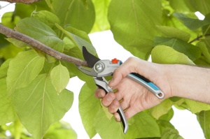 Foarfeca gradina Gardena Alu BL Bypass pentru taiere precisa manere ergonomice - Img 3
