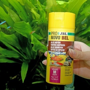 Granulat pentru pesti JBL PRONOVO BEL GRANO, 250 ml, pentru pesti de 8-20 cm - Img 3