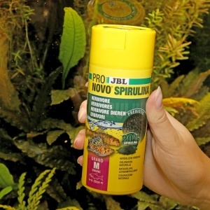 Granule pentru pesti JBL PRONOVO SPIRULINA GRANO, 250 ml, pentru pesti de 8-20 cm - Img 3