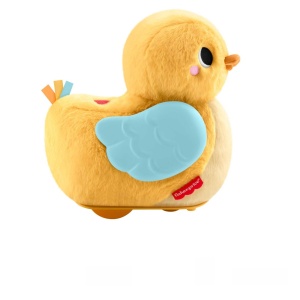Jucarie pentru bebelusi Fisher-Price 4-in-1, Plus, Multifunctionala