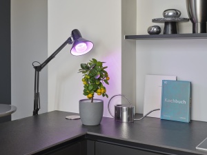Lampa LED pentru plante Osram Star Grow T80, 20W, E27, lumina alba - Img 3