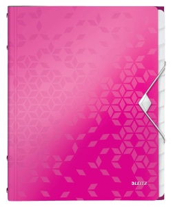 Mapa de organizare Leitz 46340023, 12 compartimente, PP, roz metalic