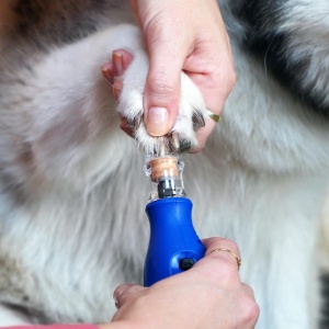 Masina de slefuit unghii pentru animale Dremel 7350-PET 36V silentioasa cu acumulator si accesorii incluse - Img 9