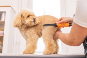 Pieptene pentru animale Wahl cu maner ergonomic, inoxidabil, ideal pentru blana medie - Img 7