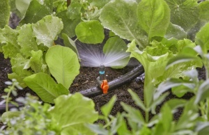 Regulator de Flux Gardena Micro-Drip-System 5 Bucati - Img 3