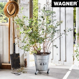 Rola pentru plante WAGNER Sun City SMALL, 75 kg, din otel, 22-33 cm - Img 3