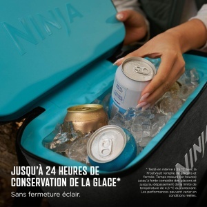 Rucsac racitor Ninja FrostVault Go 23L pentru 36 doze, gri - Img 5