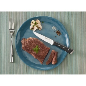 Set 4 cutite pentru friptura Tefal Ice Force K232S4 lama 11 cm tehnologie Ice Force otel inoxidabil Germania - Img 9