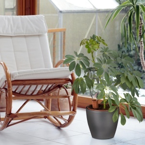 Set 4 Ghiuvete de Ceramica pentru Udat Plante, Relaxdays, Terracotta, 14x4,5 cm - Img 2