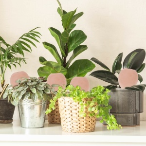 Set 4 Ghiuvete pentru Udare Plante Relaxdays, 11.5 x 6 cm, Terracotta - Img 2