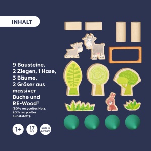 Set de Blocuri din Lemn HABA My 1st Block World 10 Piese, Ecologic, pentru Copii de la 1 An - Img 2